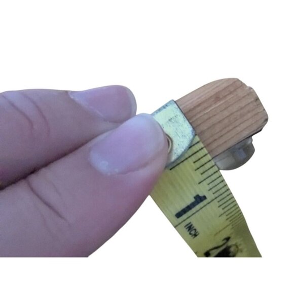 Lion Pastel Drawing by Priscilla P. Forster 5-14-02 Framed Wood Frame Glass - Picture 8 of 15